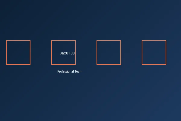 8868体育（中国）官方网站专业团队合影